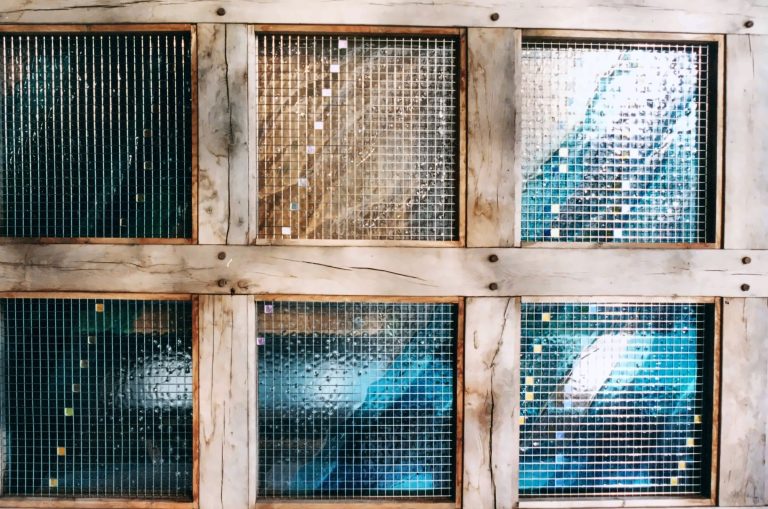 Close-up of woven wire mesh panels in a timber frame
